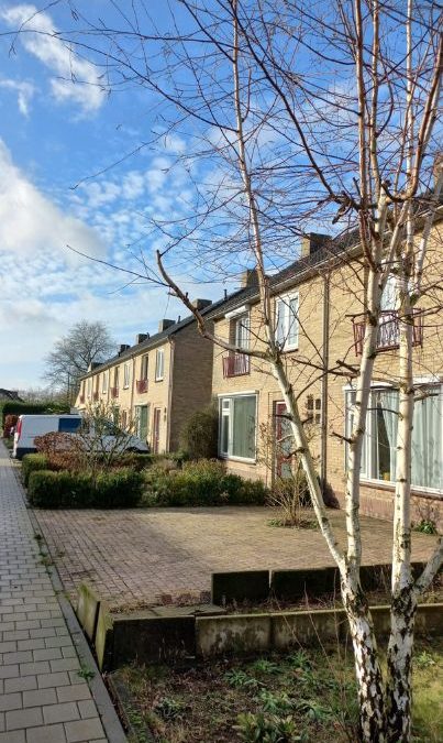 Natuurlijke alternatieven voor chemische gevelbehandeling