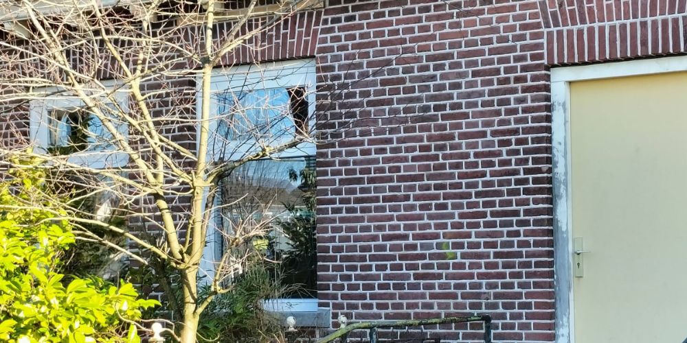 Duurzame Alternatieven voor Chemische Gevelbehandeling