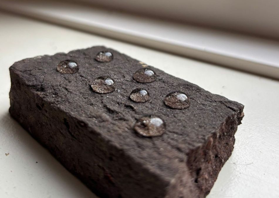 Natuurlijke oliën voor muurbescherming